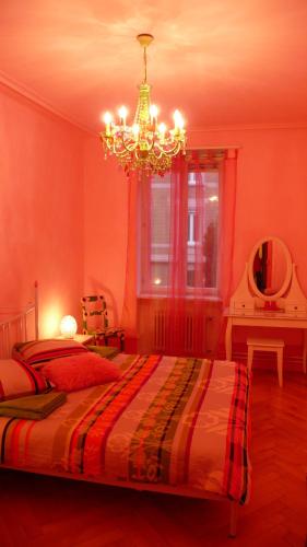 B&B La Vie en Rose - image 6