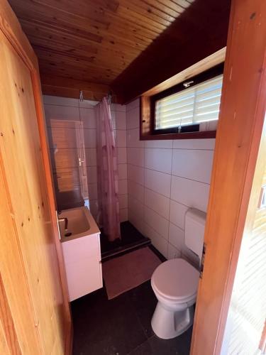 Templomzugi Fenyo Nyaralo in Örkény