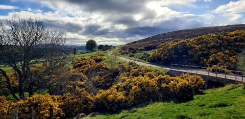Highland Glen Lodges in Edderton