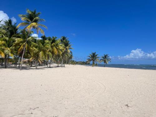 Les gites Lanmou 1 in La Desirade