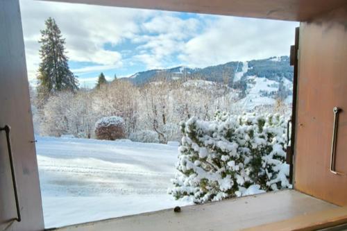 Apartment in residence near the Mont d'Arbois