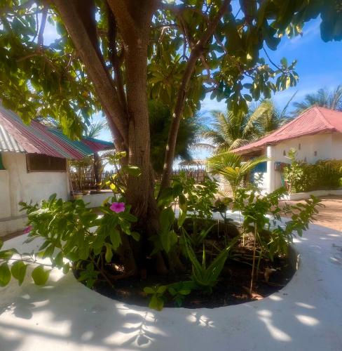 Doman Doman Eco Lodge in 貢朱爾