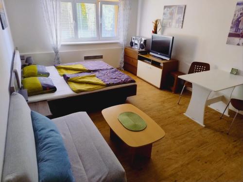 Apartmán Lipno TwentyFive (Apartman Lipno TwentyFive) in Lipno nad Vltavou