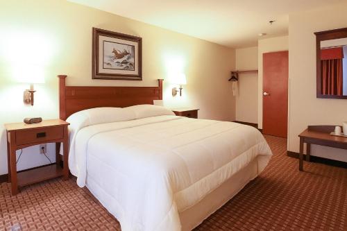 Mountain Inn & Suites Airport -Hendersonville