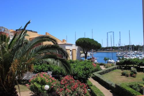 Appartement vue Port Malfato