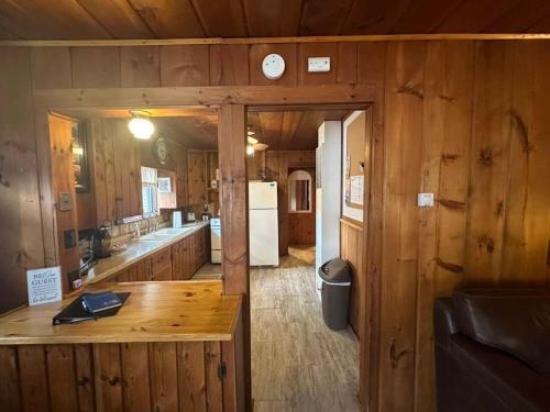 Hidden Cabin Getaway - image 3