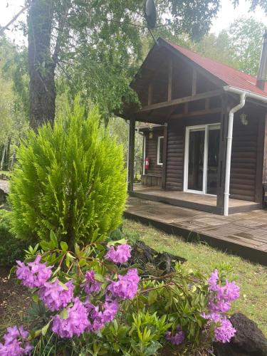 Lodge arbolito Casa de campo