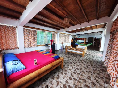 Manglar escondido in Mompiche