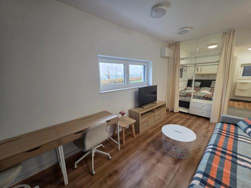 Facilities, Vila Brod in Medno