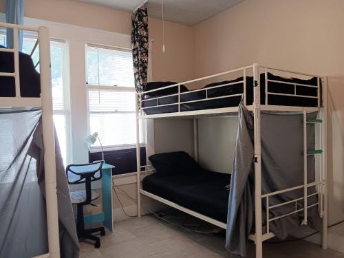 Rooster Hostel in Tampa, USA