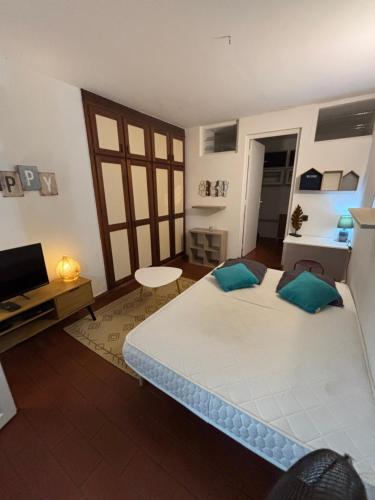 Studio cosy au pied de la Soufrière - Location saisonnière - Saint-Claude