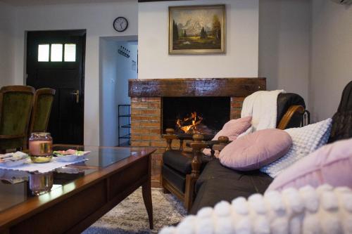 Aurora Silvae in 渣加廸