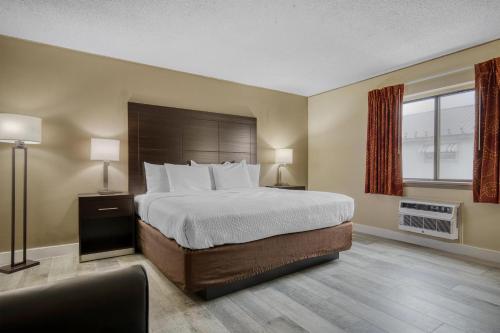 1 king bed, 1 sofa bed
