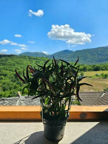 Esperia Holiday House in Castelpetroso