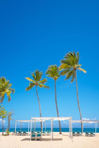 Emotions by Hodelpa Puerto Plata - image 4