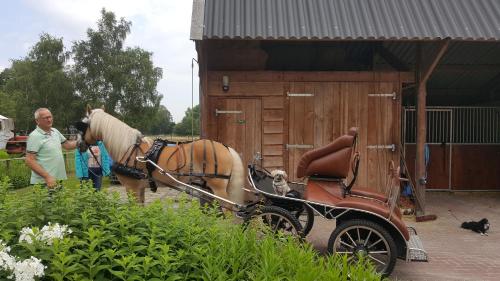 Vakantiehuis "Aan de Zandweg"