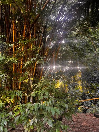 . Hiariki Lodge