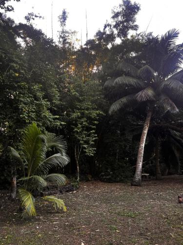 Hiariki Lodge in มาร์เกซัส ไอส์แลนด์