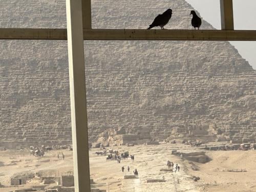 Pyramids Glory Inn - image 4