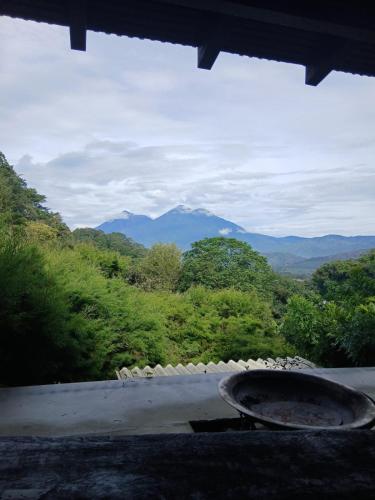 Bosco Antigua - Cabins and Spa in the Woods, Antigua Guatemala (foto 3)