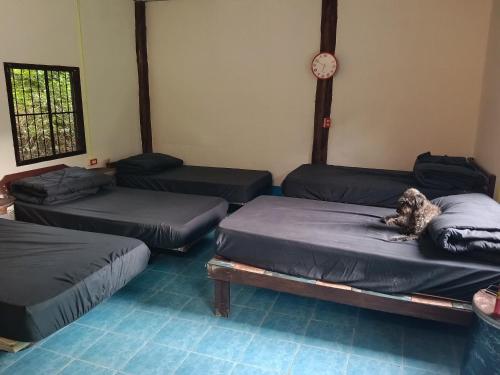 Easy sleep near Sea View Restaurant Lanta Noi