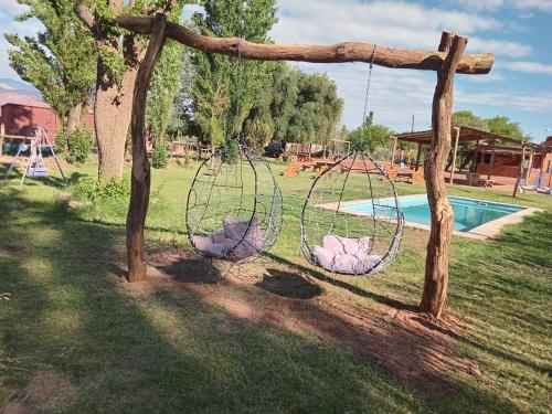 Cactus del Talampaya 2 in Villa Union