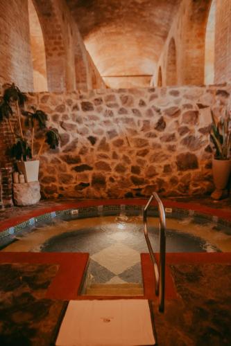 Hacienda El Carmen Hotel & Spa in Teučitlana