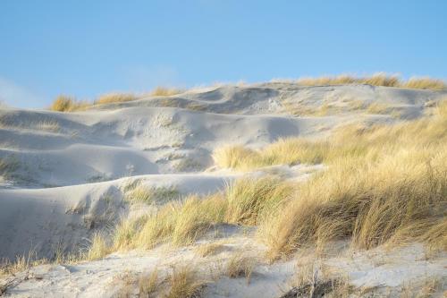Alte Schule Westerhever Ehst in Westerhever