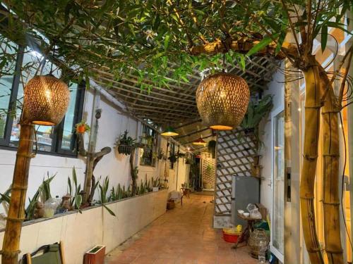 Homestay Mia Diệu Nhàn Phú Quốc (Homestay Mia Dieu Nhan Phu Quoc) in Phu Quoc Island