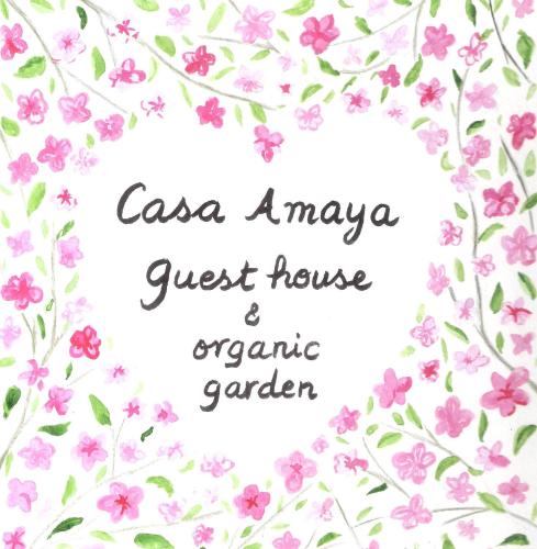  Hostal Casa Amaya in Vallehermoso