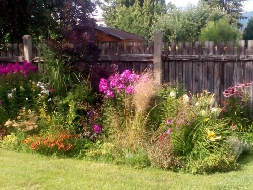 Apartman U Adamov - image 11