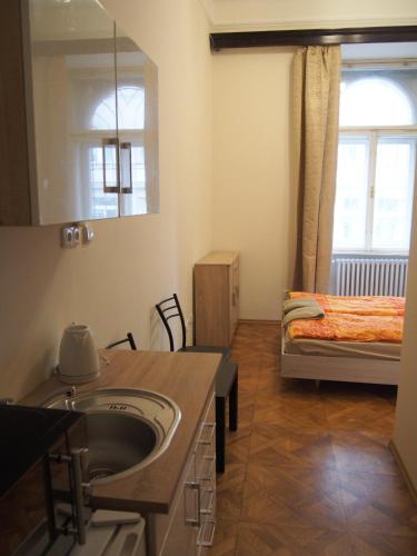 Museum Inn, Prag (Foto 7)