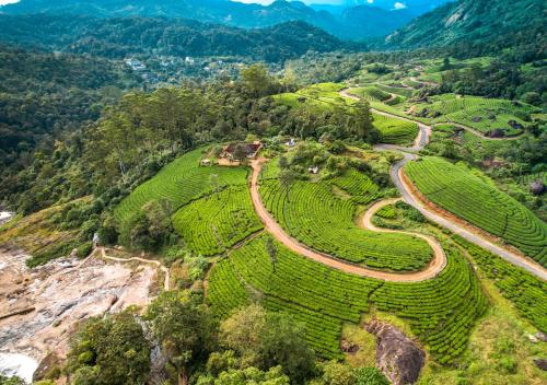 Exterior view of Viriparai Tea Bungalow Munnar by VOYE HOMES - Surrounded by Tea Plantations