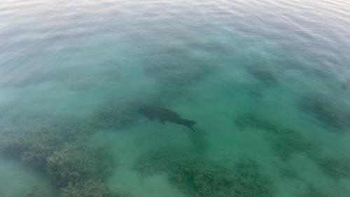 El descanso soberano in 奧薩德蒙鐵爾