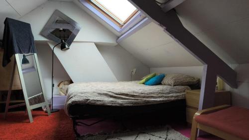 2,5 Km from Central Station, Amsterdam (foto 7)