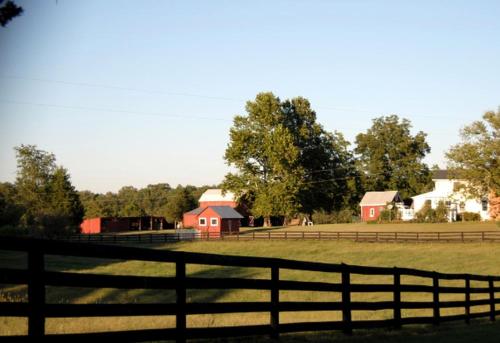 One-Bedroom, One-Bathroom Cottage Rental on a 250-Acre Cattle Farm near Appalachian Trail in Scottsville (VA)