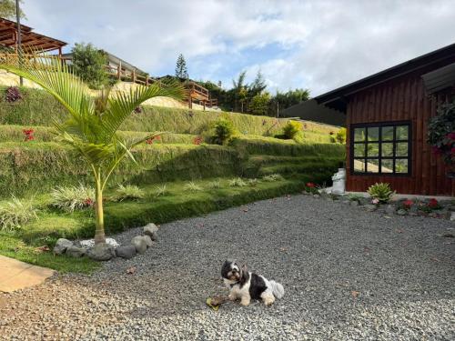Finca cerca a Cali El Paraíso de Salo (Finca cerca a Cali El Paraiso de Salo) in El Queremal