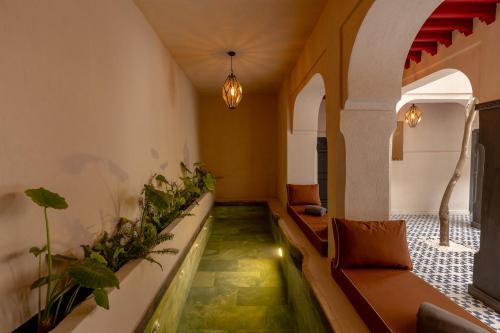 Riad Cedrat 1