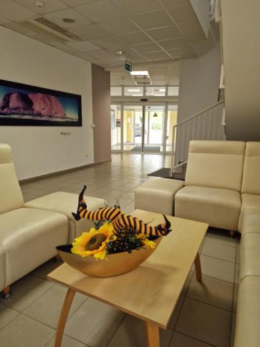 Lobby, Fiore Wellness Apartman in Zalakaros