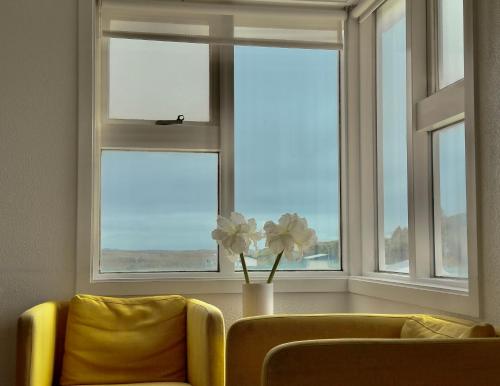 Facilities, Framtid Hostel in Djupivogur