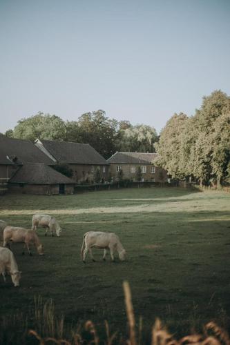 Aan 't Laantje