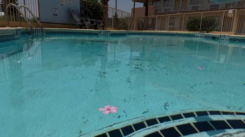 景觀, GO2 Inn & Suites by Relianse - El Paso in 桑蘭帕克區