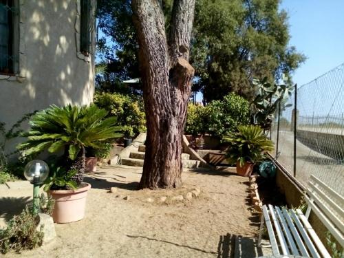 B&B Il Vigneto - image 10