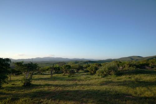 Surrounding environment, The O'asis in La Ribera