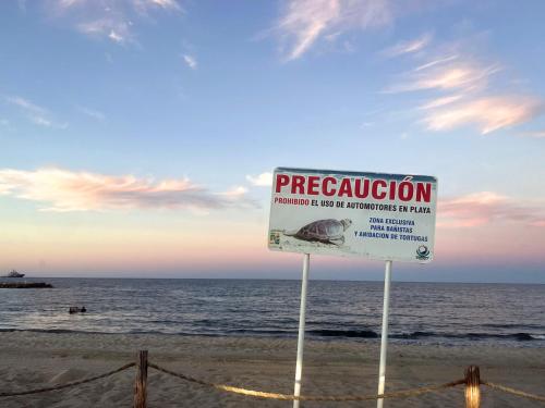 Surrounding environment, The O'asis in La Ribera