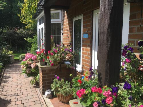 Grove House Bed & Breakfast - image 5