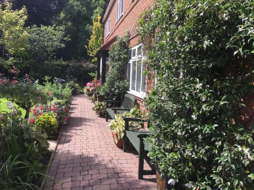Grove House Bed & Breakfast - image 6