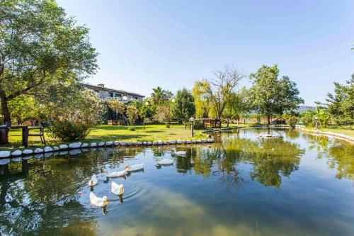 Otantik Tas Ev - image 13