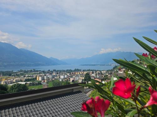 Casa Colombina & Studio by Fewotessin in Gordola