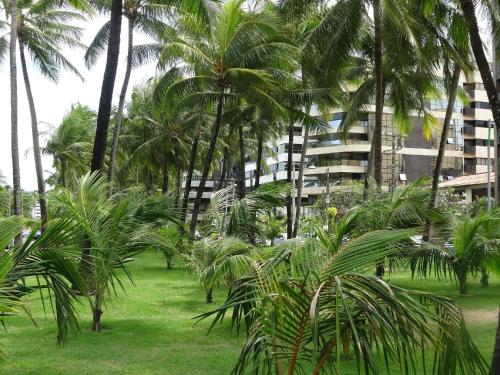 沙灘, Flat Costa Nova VIP - em Ponta Verde - Apartamento 202 - 1 Quarto - Proximo a Praia in 龐塔維爾德